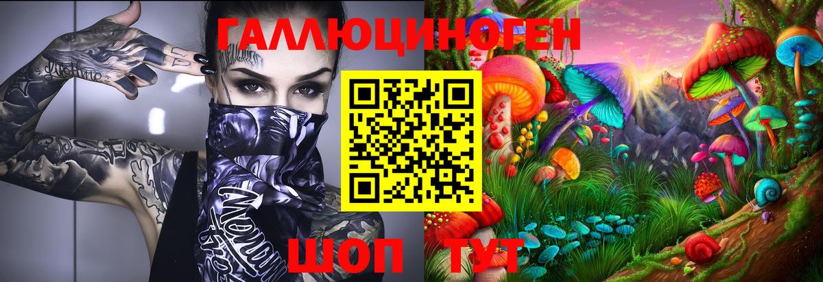 Псилоцибиновые грибы GOLDEN TEACHER Бузулук
