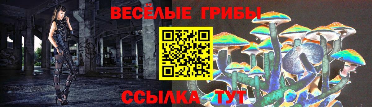 Галлюциногенные грибы GOLDEN TEACHER  что такое   Бузулук  Вход с VPN 